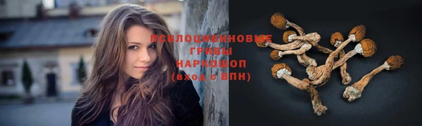 ALPHA-PVP Надым