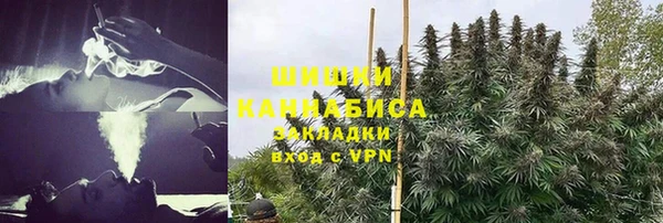 ГАЛЛЮЦИНОГЕННЫЕ ГРИБЫ Михайловск