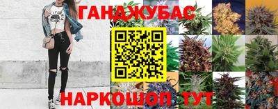 молекула духа Гатчина
