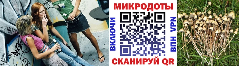 Галлюциногенные грибы GOLDEN TEACHER  ОМГ ОМГ ссылки  Людиново 