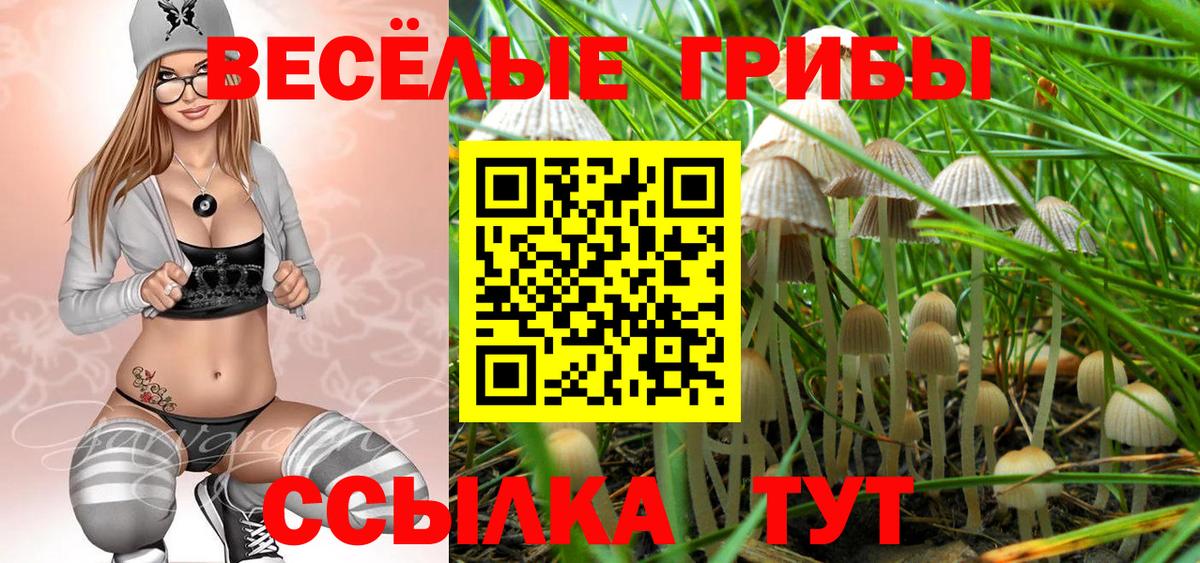 Псилоцибиновые грибы прущие грибы Людиново