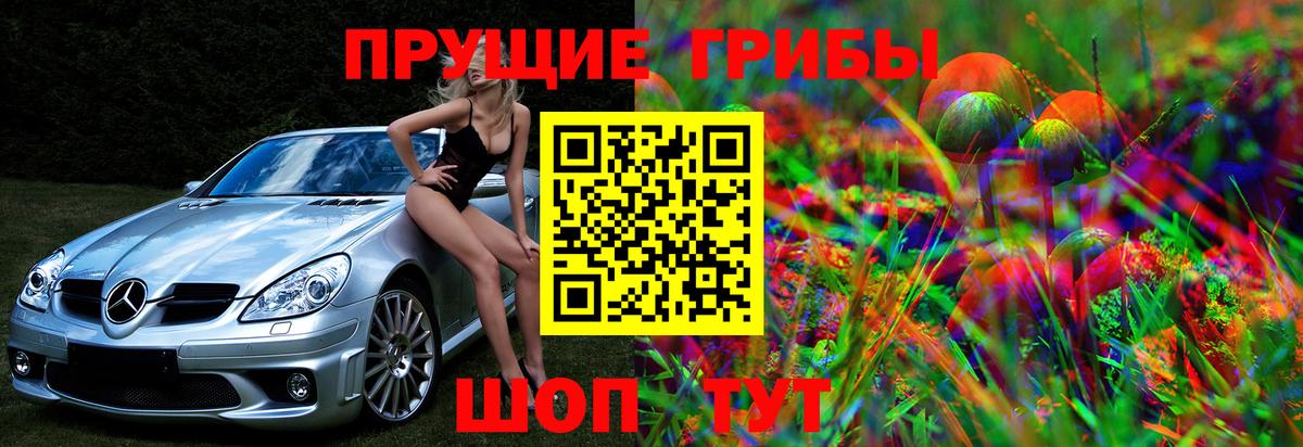 Людиново  Галлюциногенные грибы ЛСД  Вход с VPN  Галлюциногенные грибы Psilocybe 